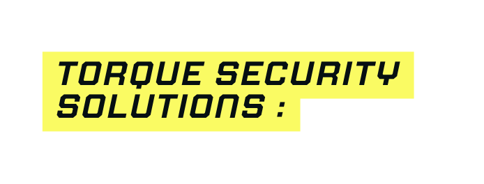 Torque security solutions